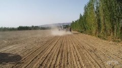 新疆焉耆：抢抓农时 冬小麦播种进